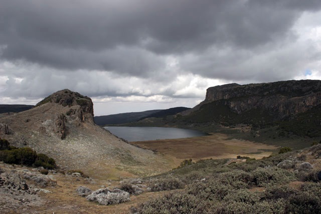 Gebra Guracha, Bale Mountains