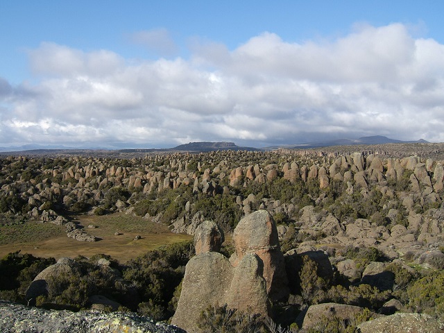 Rafu, Bale Mountains