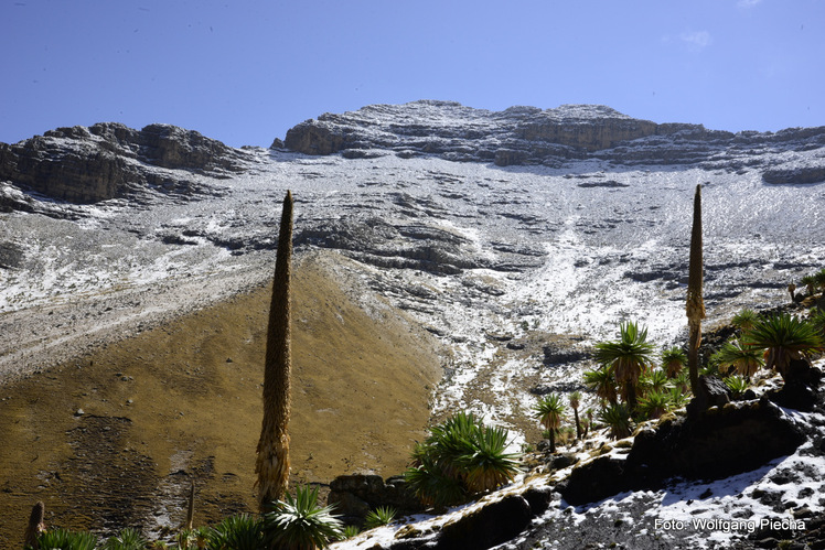 Ras Dashen Simien Berge