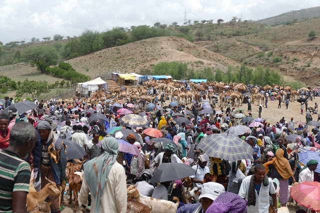 Senbete Market, Ethiopia